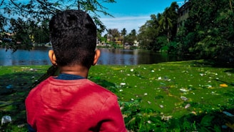 A child wearing a red shirt is facing a polluted body of water filled with algae and garbage. Surrounding the water, there are trees and palm trees with a clear blue sky in the background.