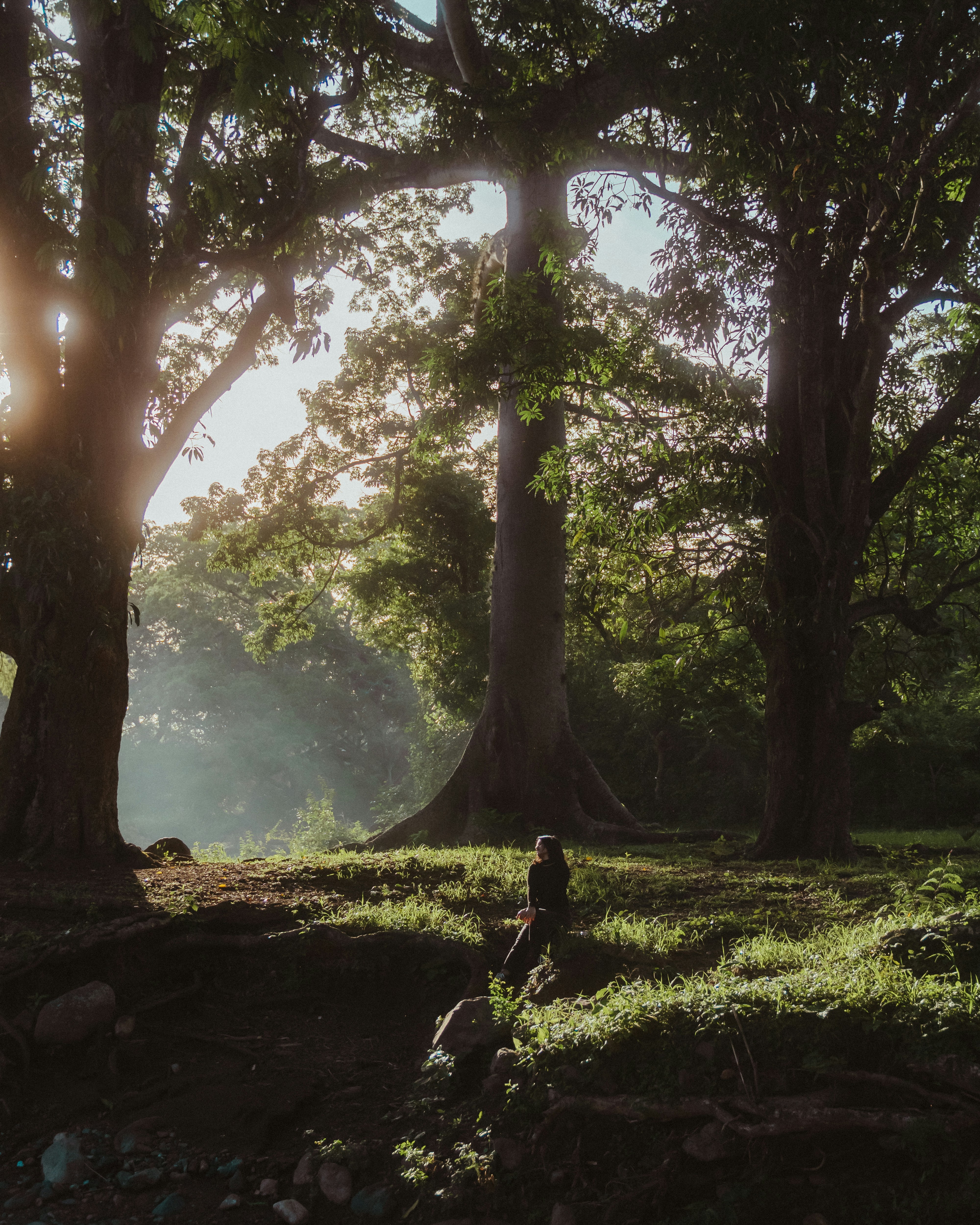 낮에 푸른 나무 근처의 푸른 잔디밭에 앉아있는 사람
