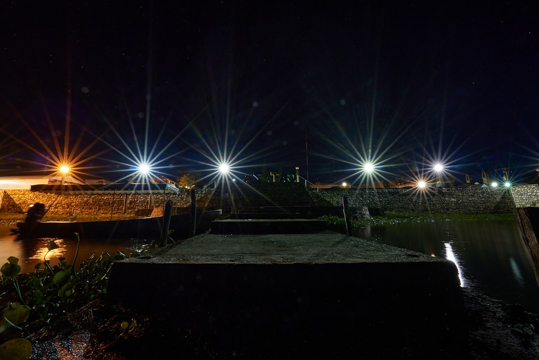 brown wooden dock with light post during night time