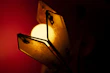 A close-up of a rustic wooden lamp with warm glowing light.