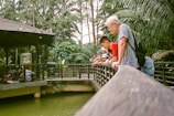 Several people are gathered on a wooden platform overlooking a body of greenish water, surrounded by lush tropical foliage. They appear to be looking into the water with interest. A small group is sitting under a sheltered gazebo, which features some signage.