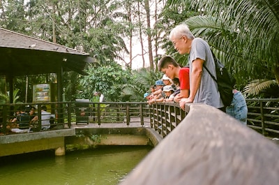 Several people are gathered on a wooden platform overlooking a body of greenish water, surrounded by lush tropical foliage. They appear to be looking into the water with interest. A small group is sitting under a sheltered gazebo, which features some signage.
