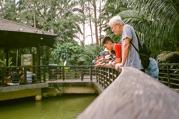 Several people are gathered on a wooden platform overlooking a body of greenish water, surrounded by lush tropical foliage. They appear to be looking into the water with interest. A small group is sitting under a sheltered gazebo, which features some signage.