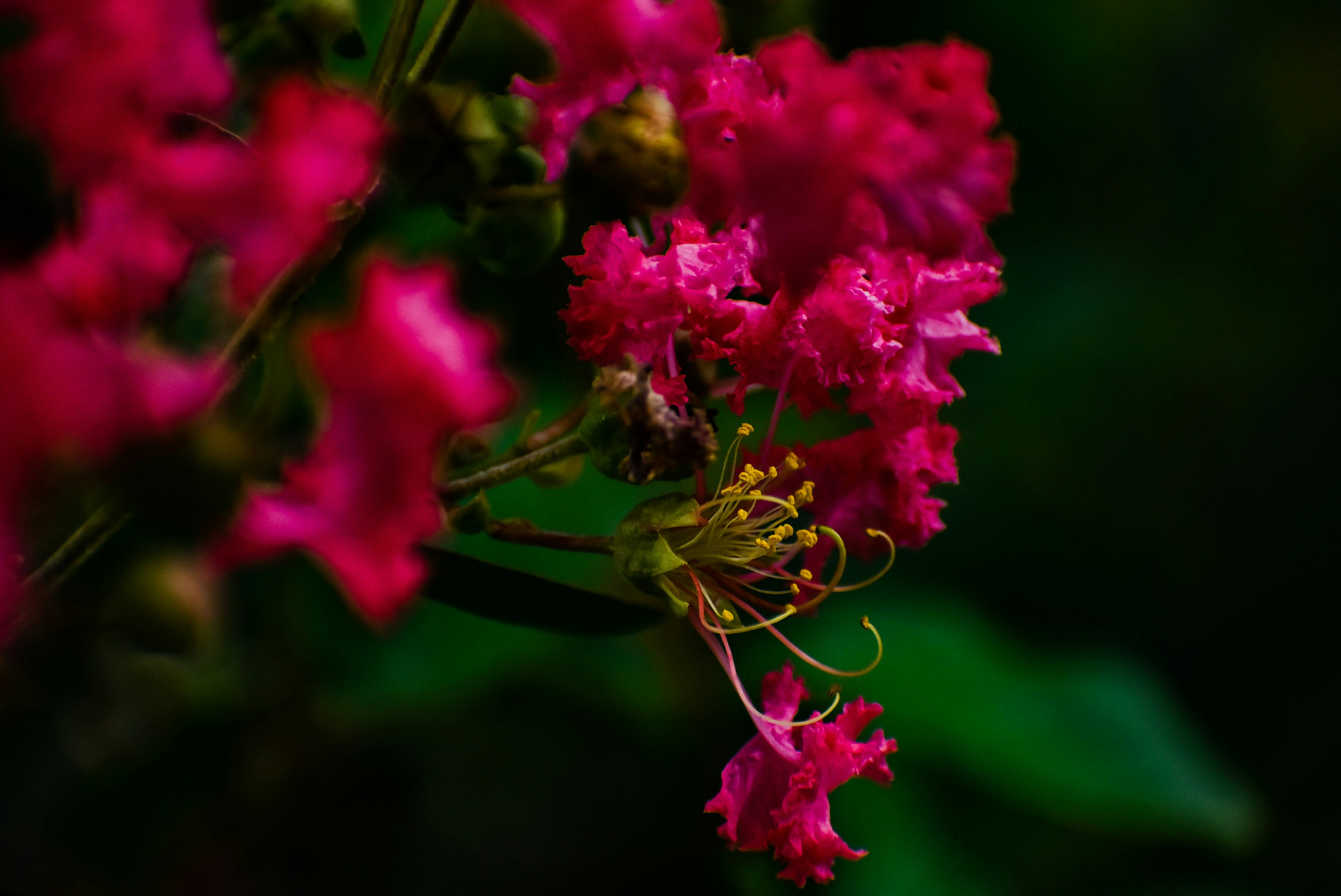 Photo by abhinav_arya