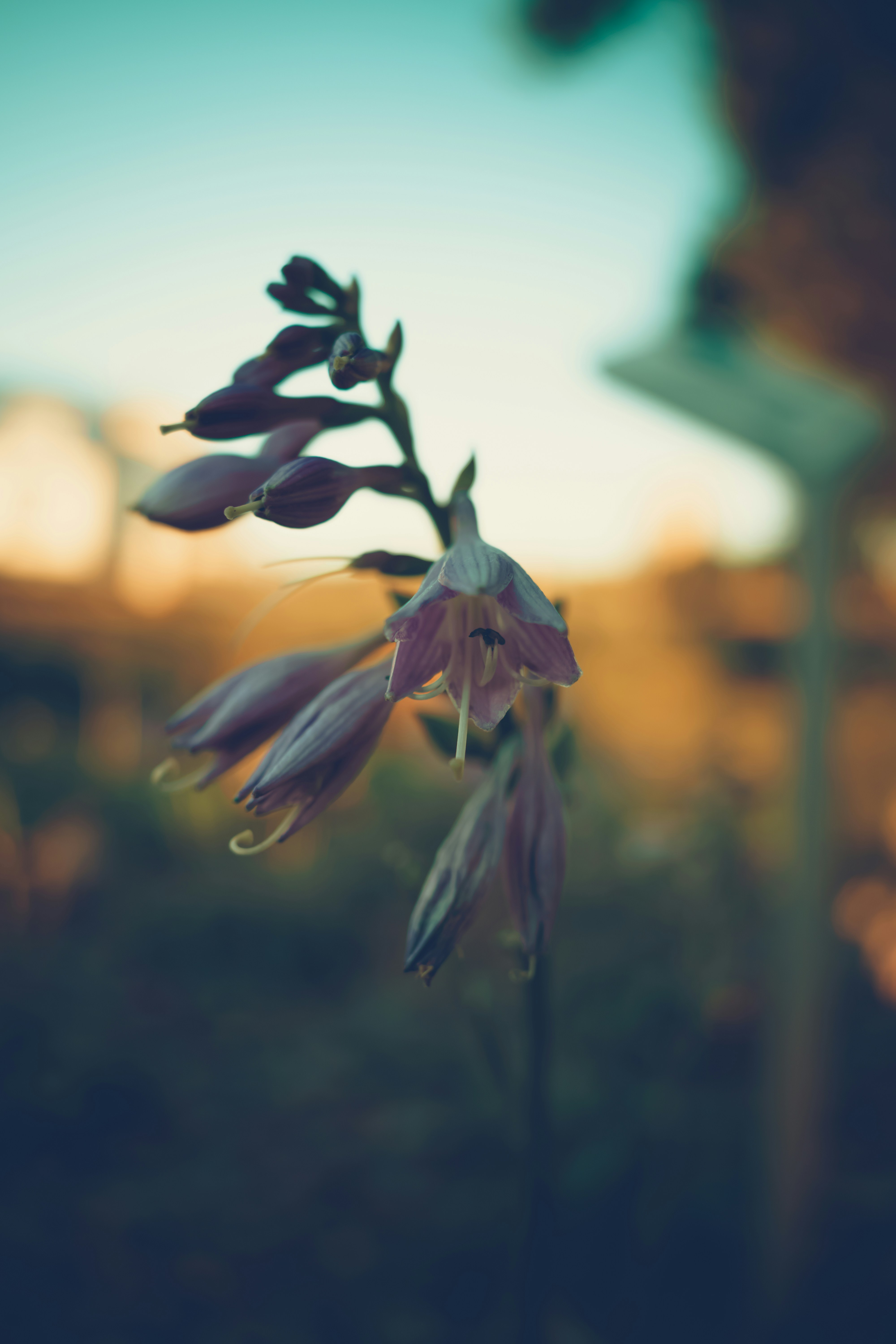 Photo by alexrybin