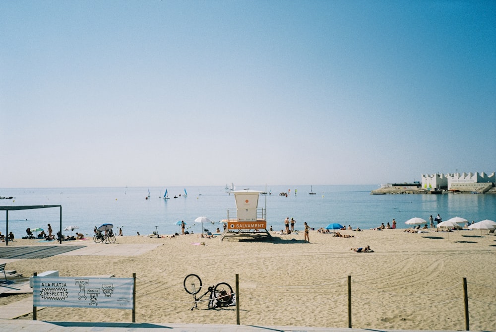 people on beach during daytime