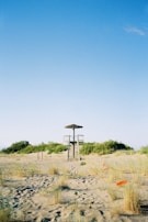 green grass field near green trees under blue sky during daytime