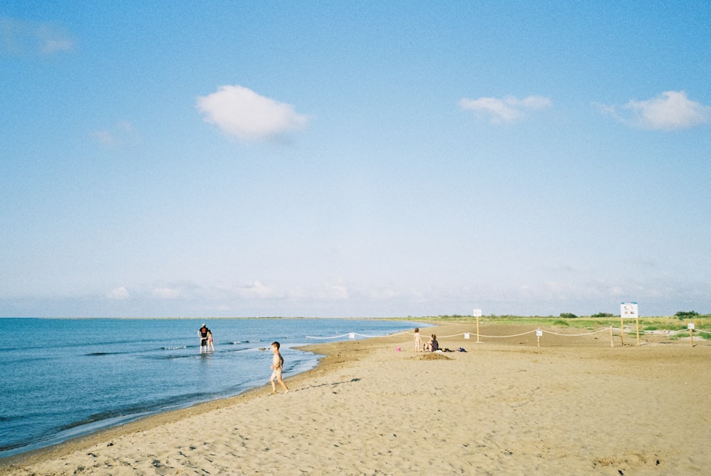 people on beach during daytime