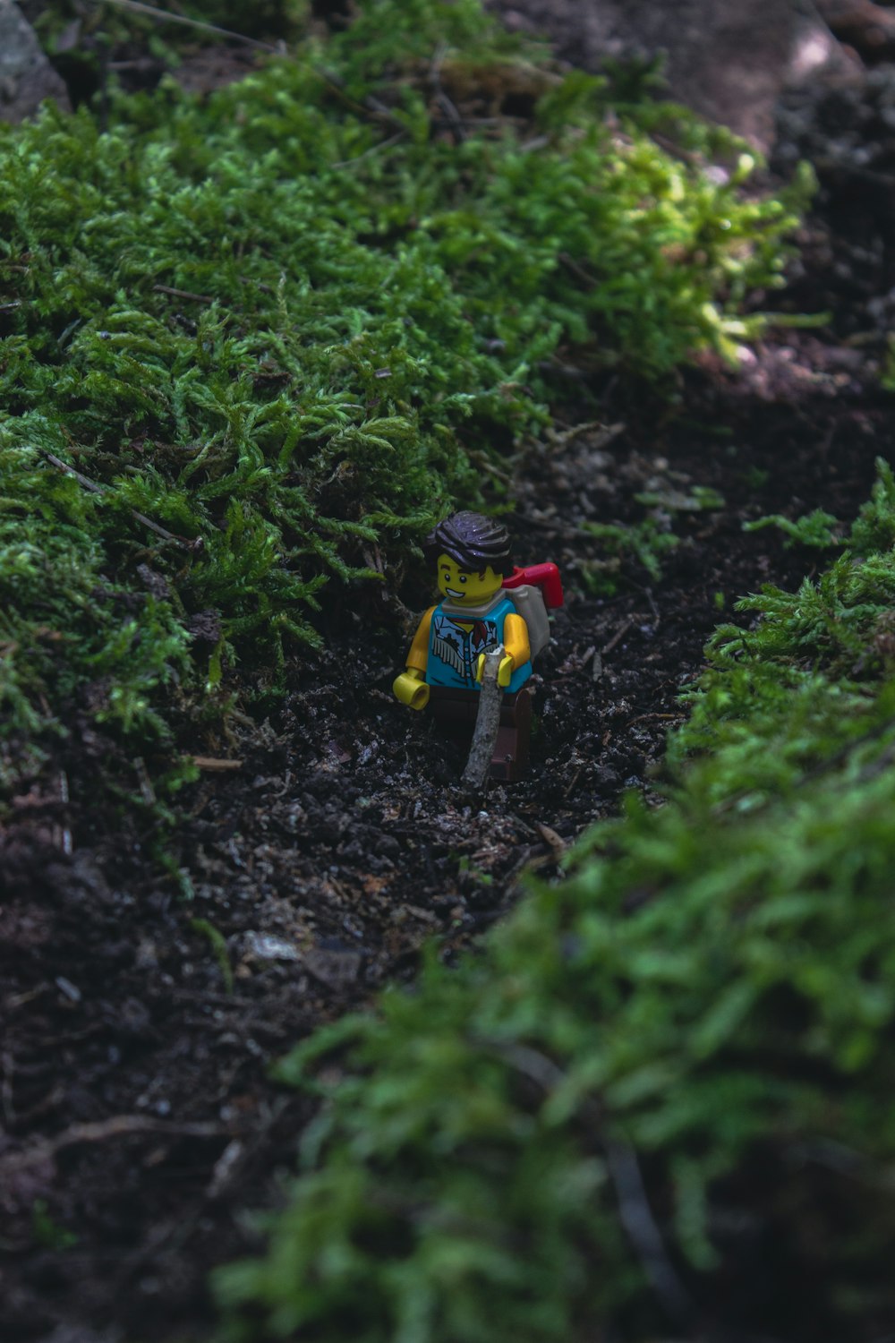 person in blue and yellow jacket walking on dirt pathway between green grass during daytime