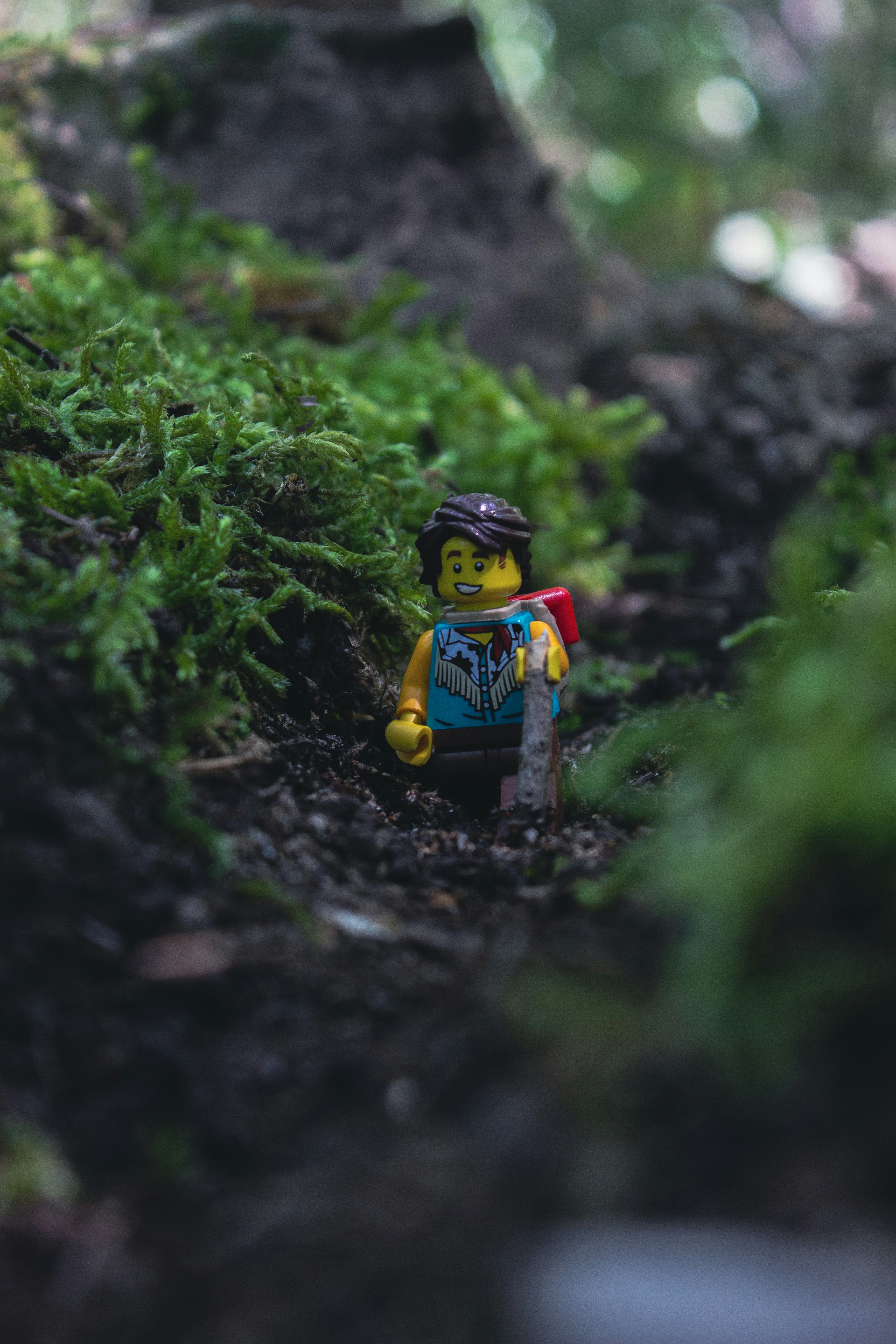 This space is living.