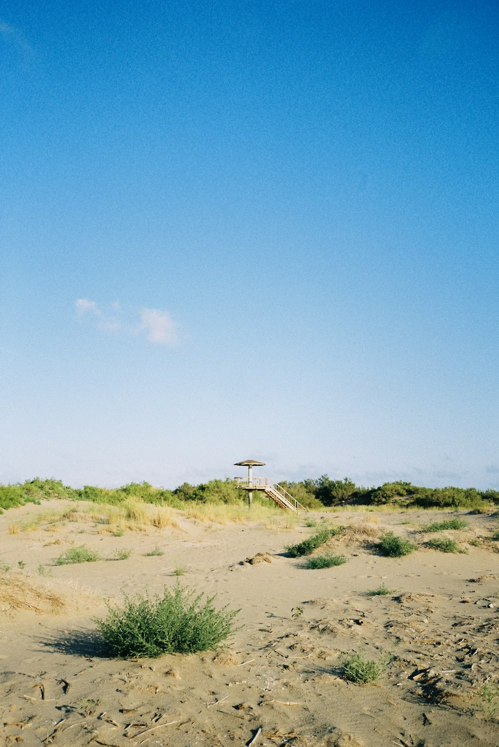 brown sand with green grass under blue sky during daytime