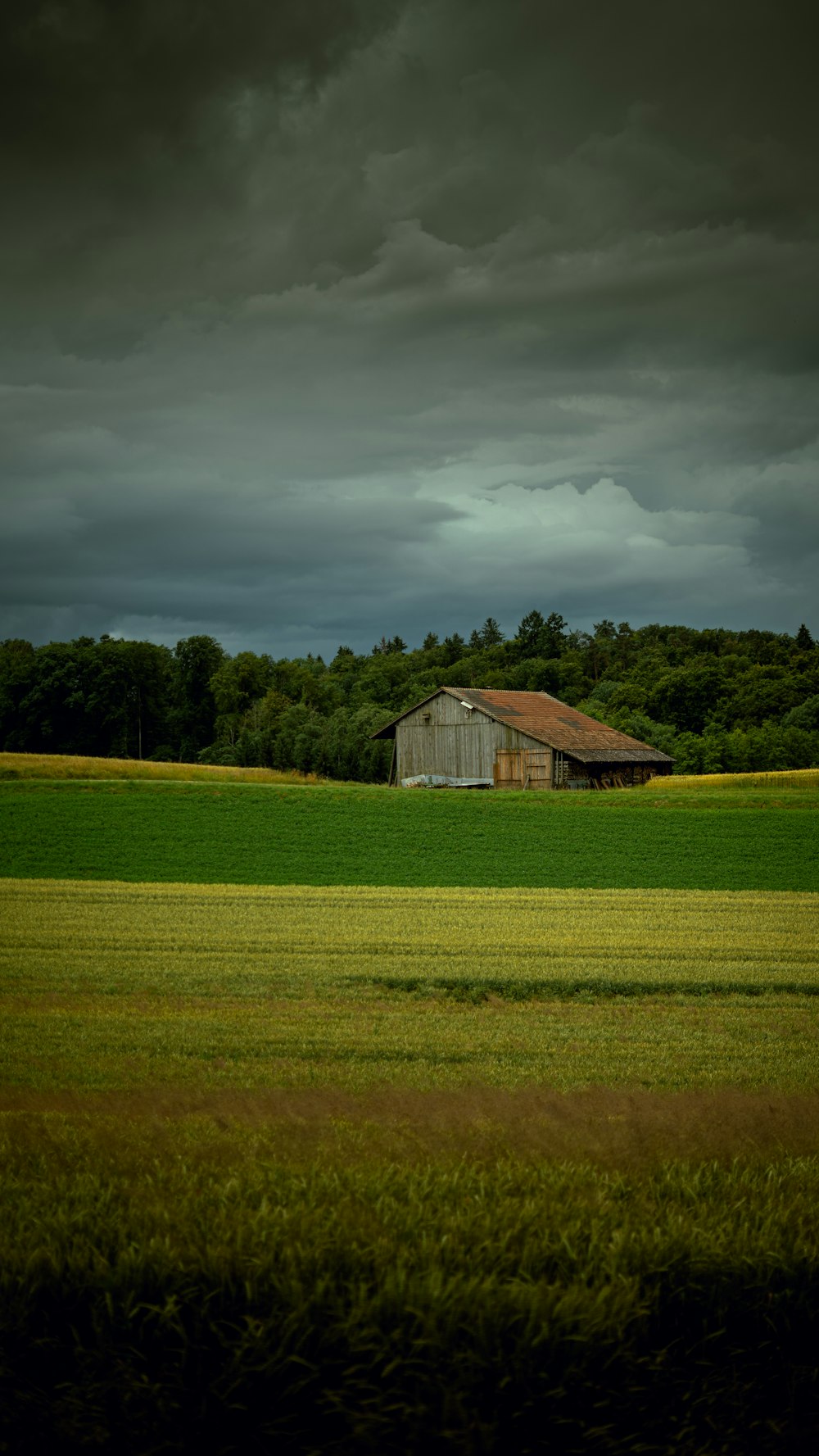 brown wooden house on green grass field under cloudy sky during daytime