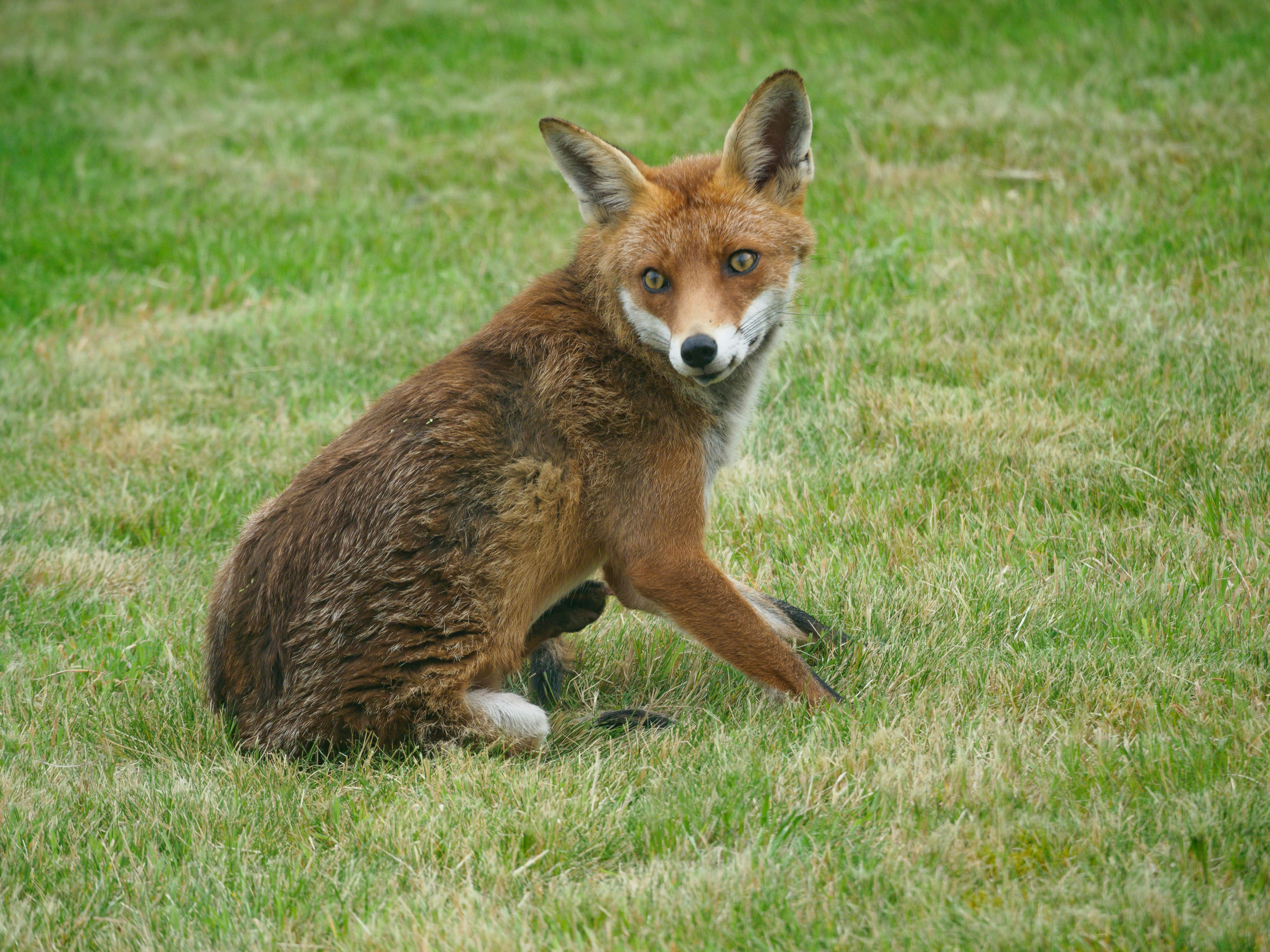 Photo by brett_jordan