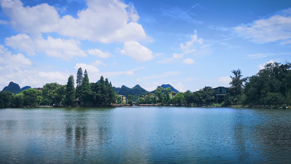 green trees near body of water under blue sky during daytime