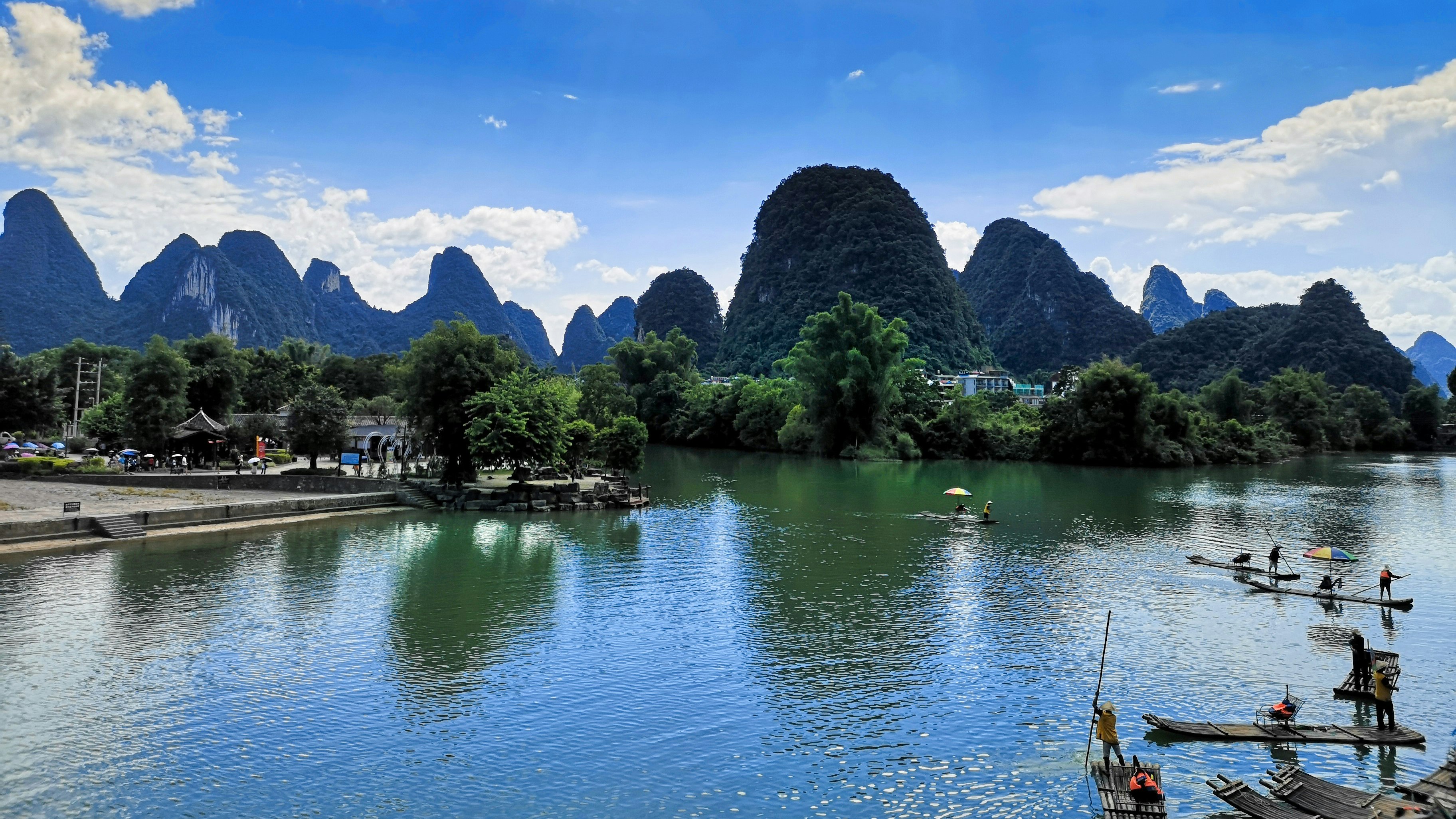 green trees near body of water during daytime