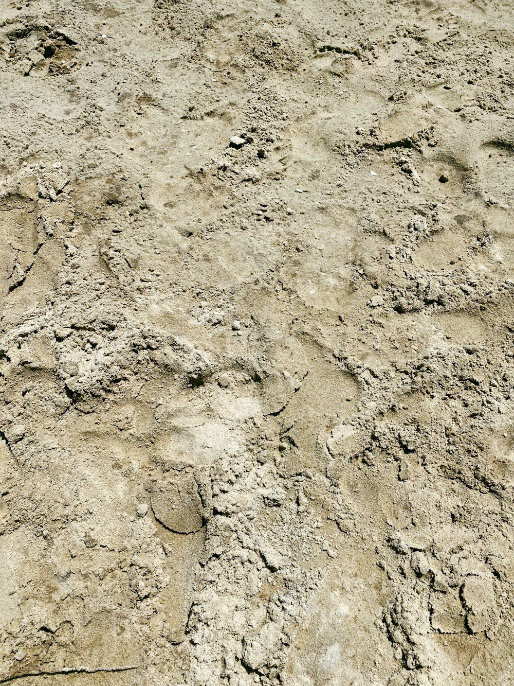 brown sand with brown soil