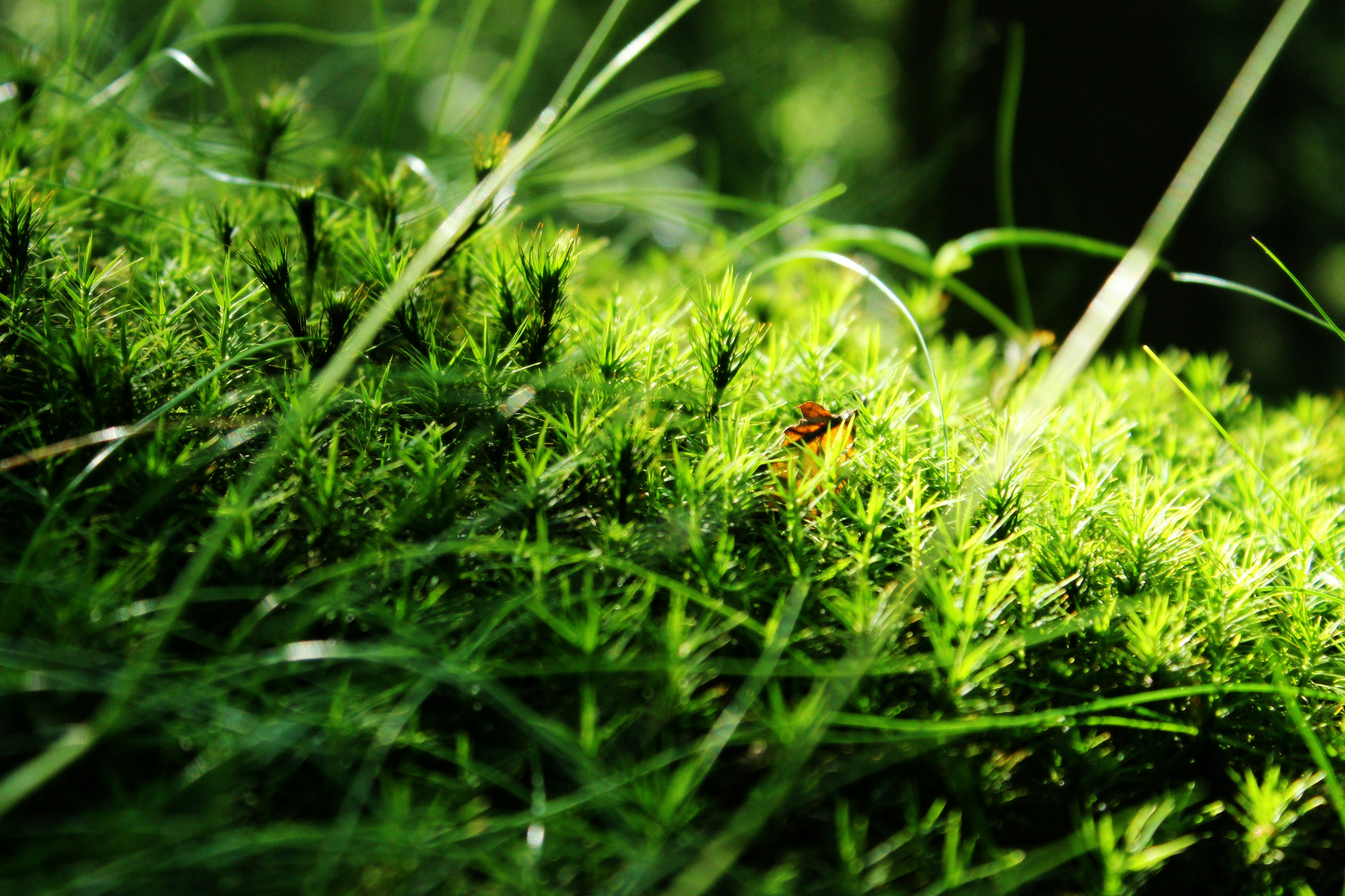 Photo by duschreiben