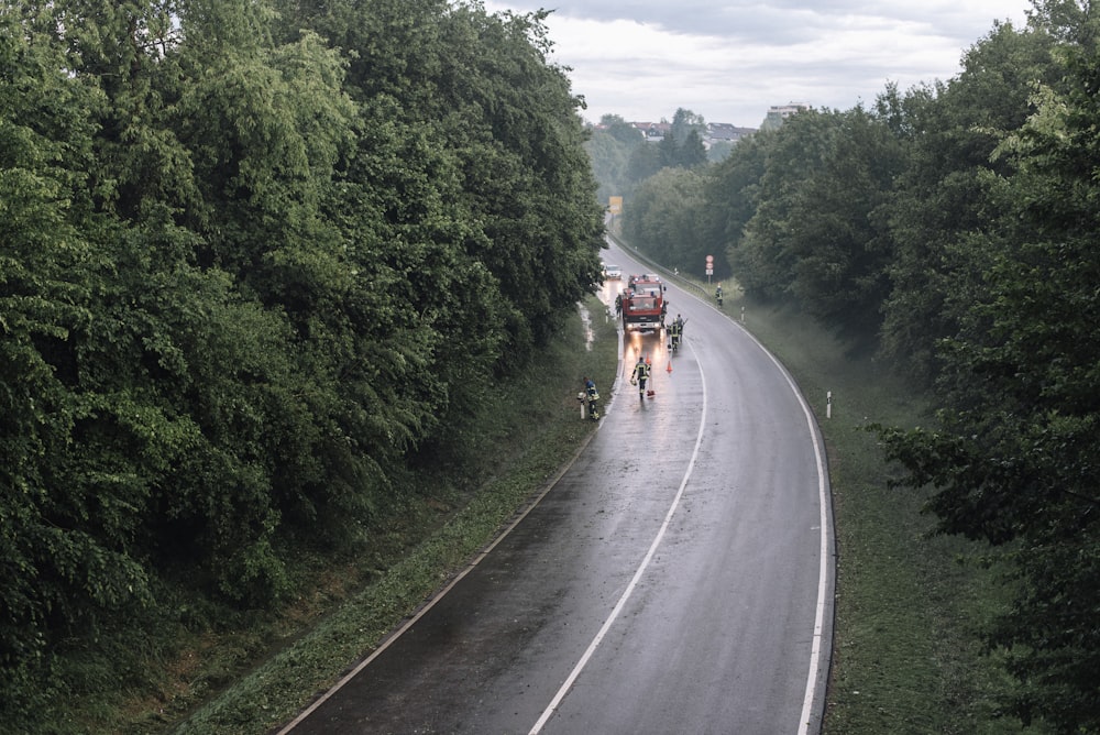 people walking on road during daytime