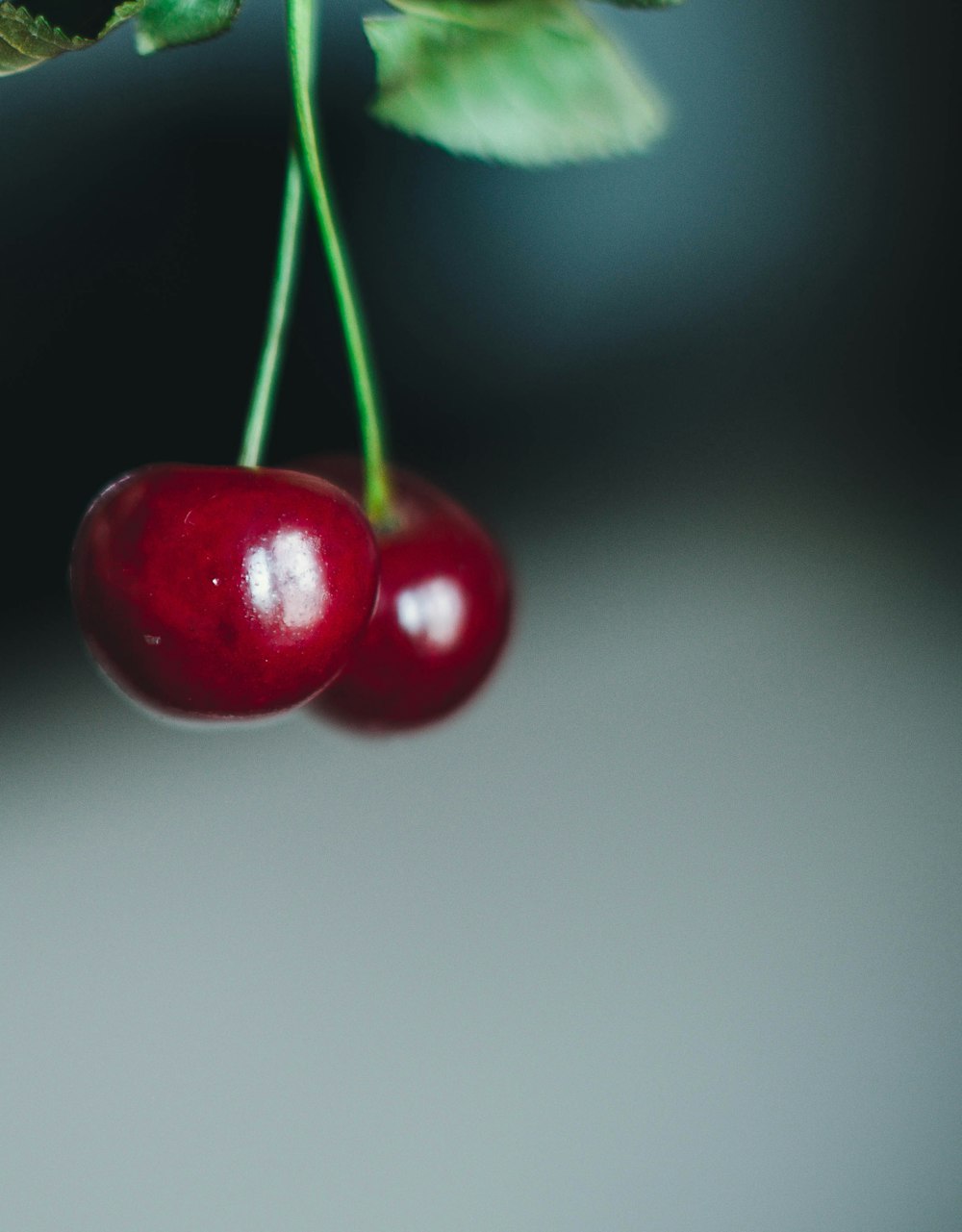 Fruto de cereza roja sobre superficie blanca