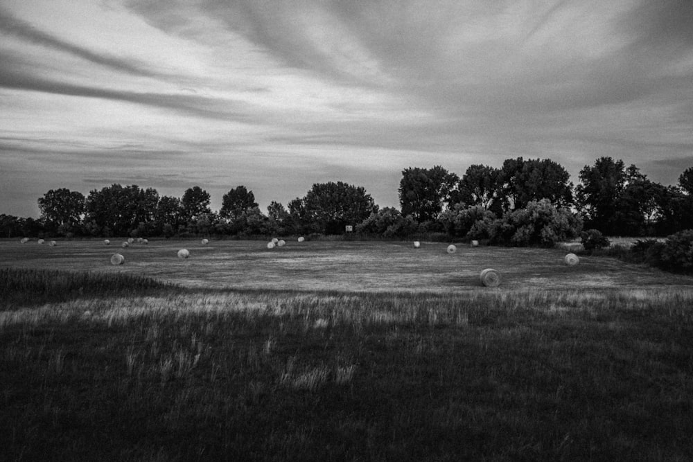 grayscale photo of grass field and trees