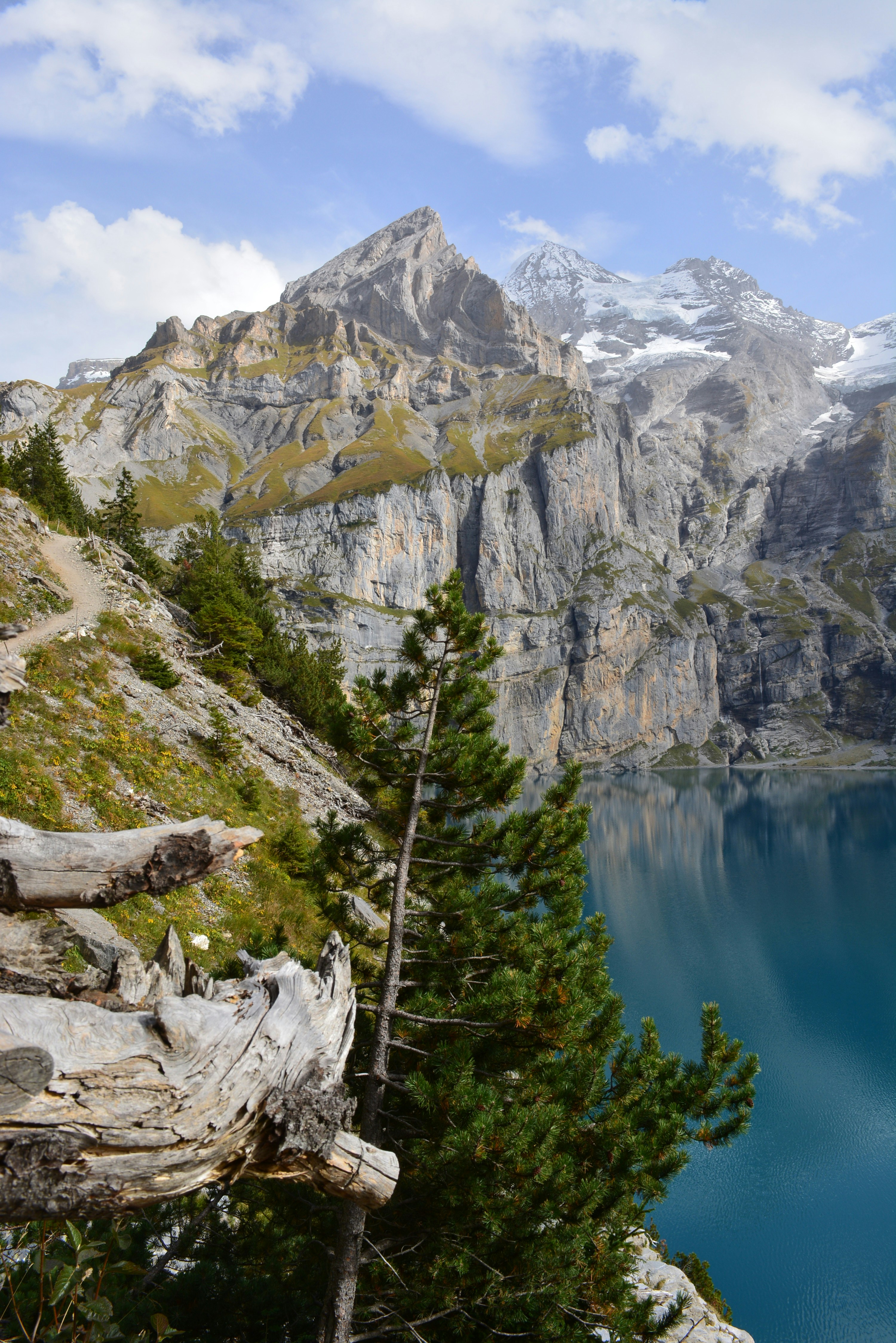 green trees near lake and mountain during daytime