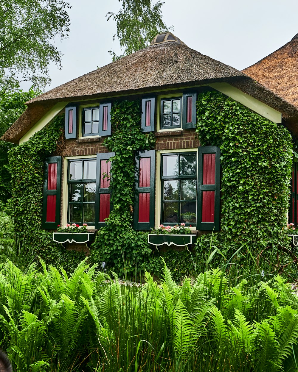 brown and green wooden house