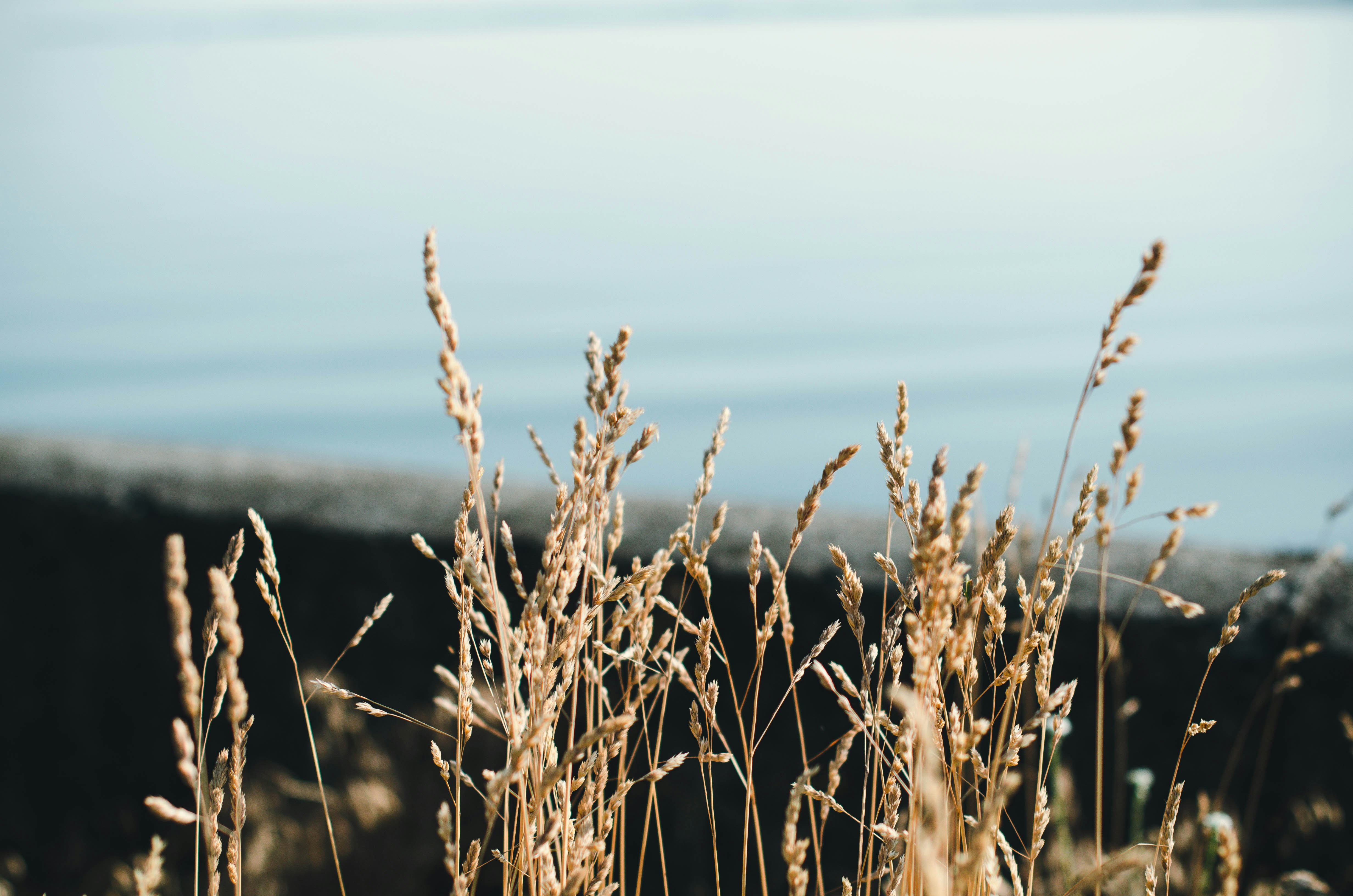 Photo by nika_benedictova