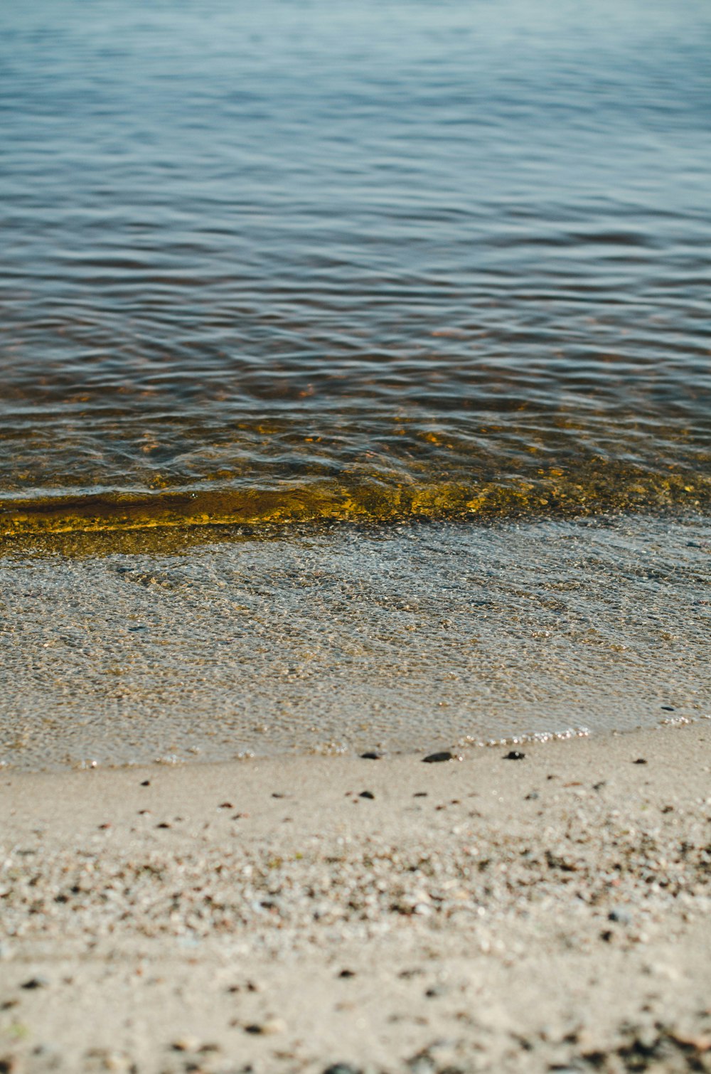 brown sand on body of water during daytime