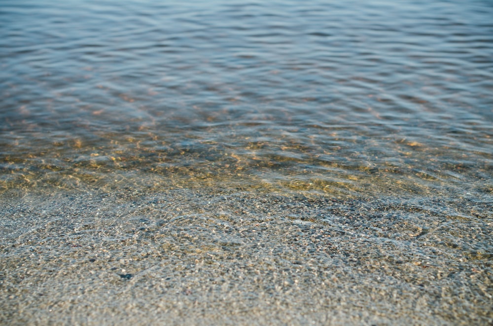 brown sand near body of water during daytime