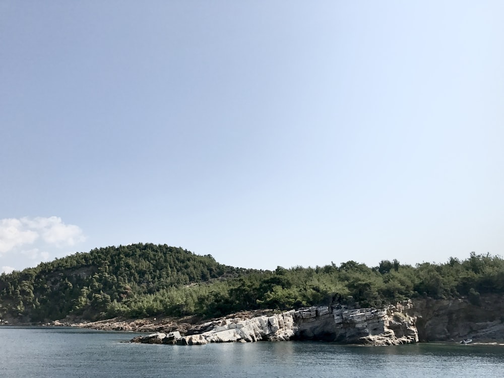 green trees on island during daytime