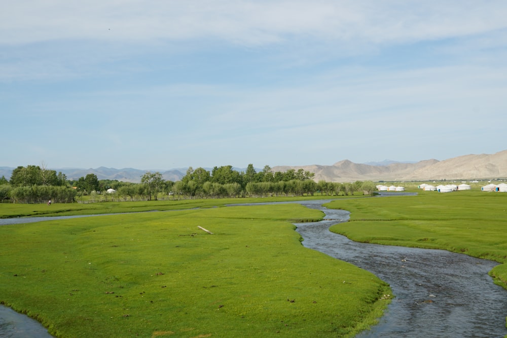 green grass field under white sky during daytime