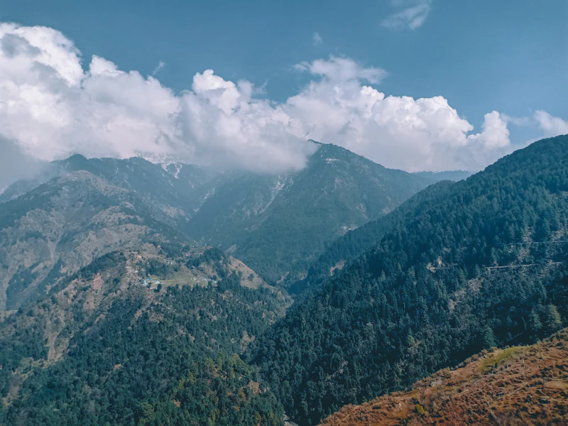Best Season to Visit Dharamshala: When to Go, When to Skip, and Why It Matters