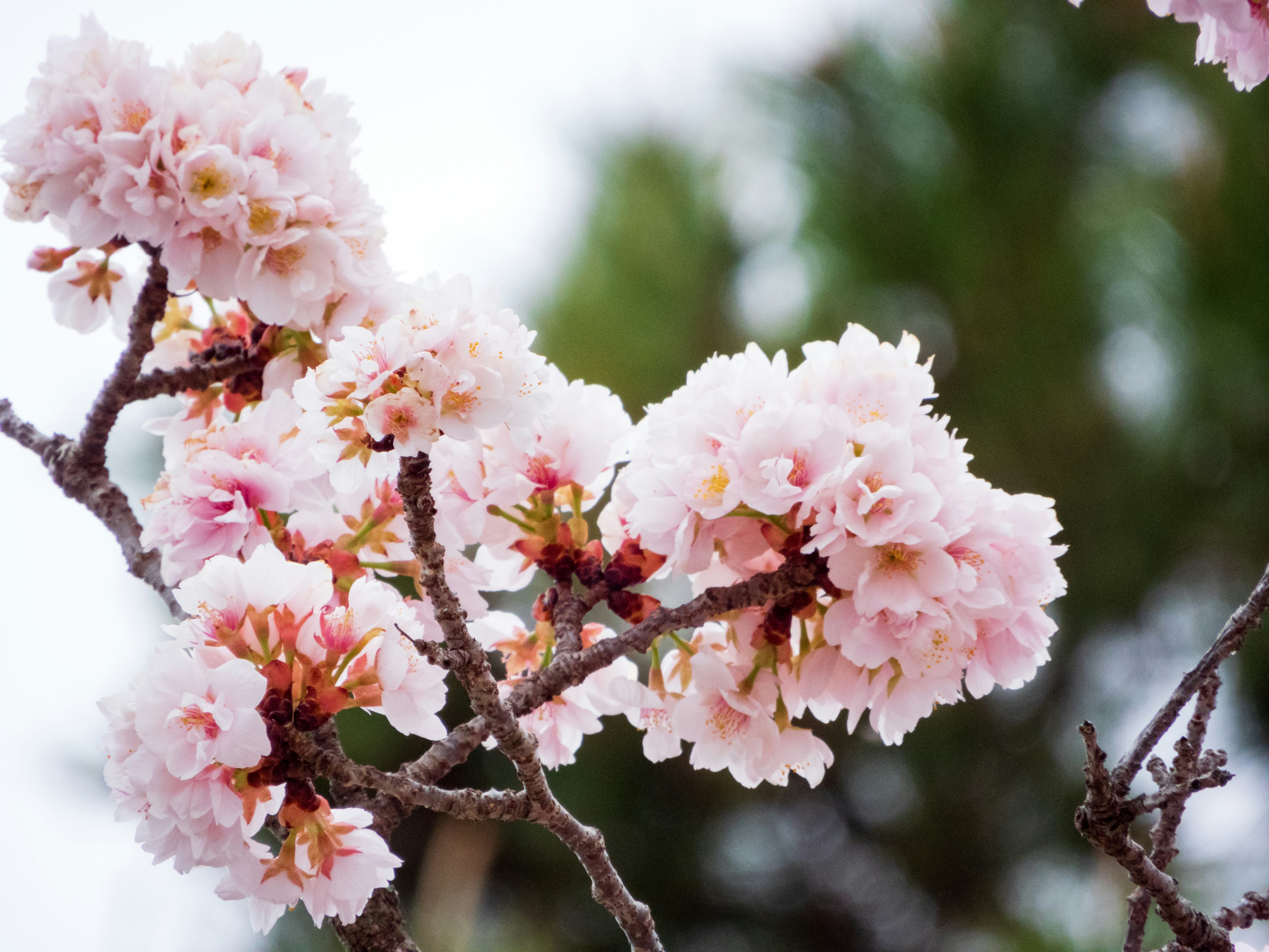 Photo by heppoko_yama