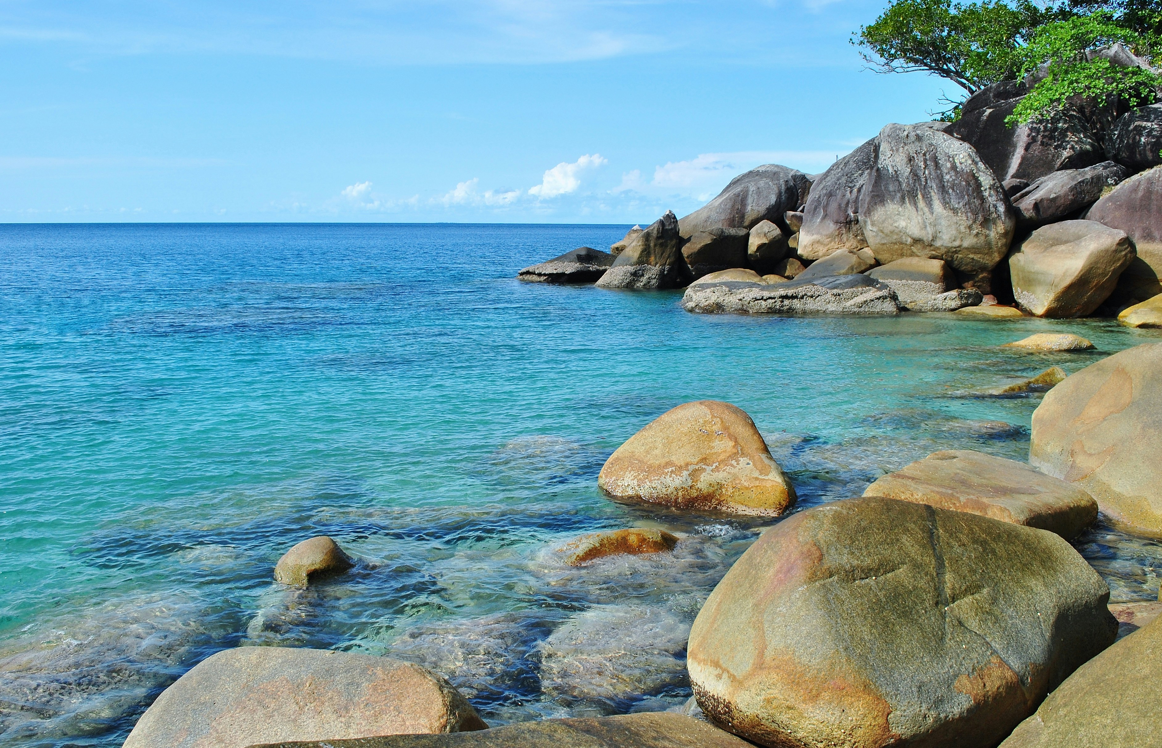 Photo by stephenally