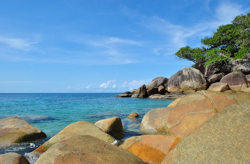 gray rocks on sea shore during daytime