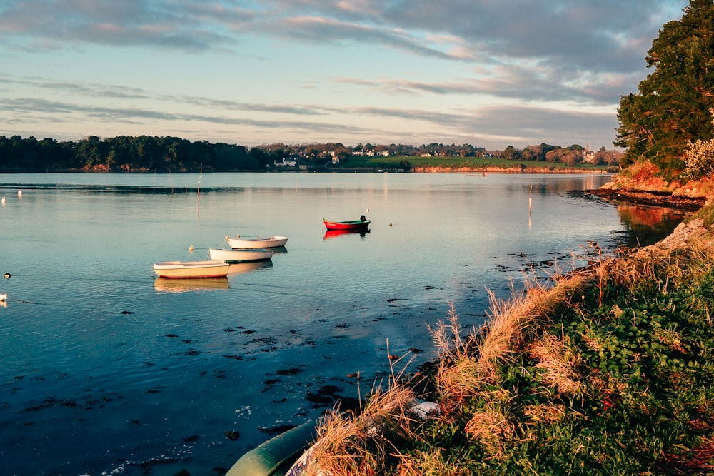 white and red boat on water during daytime