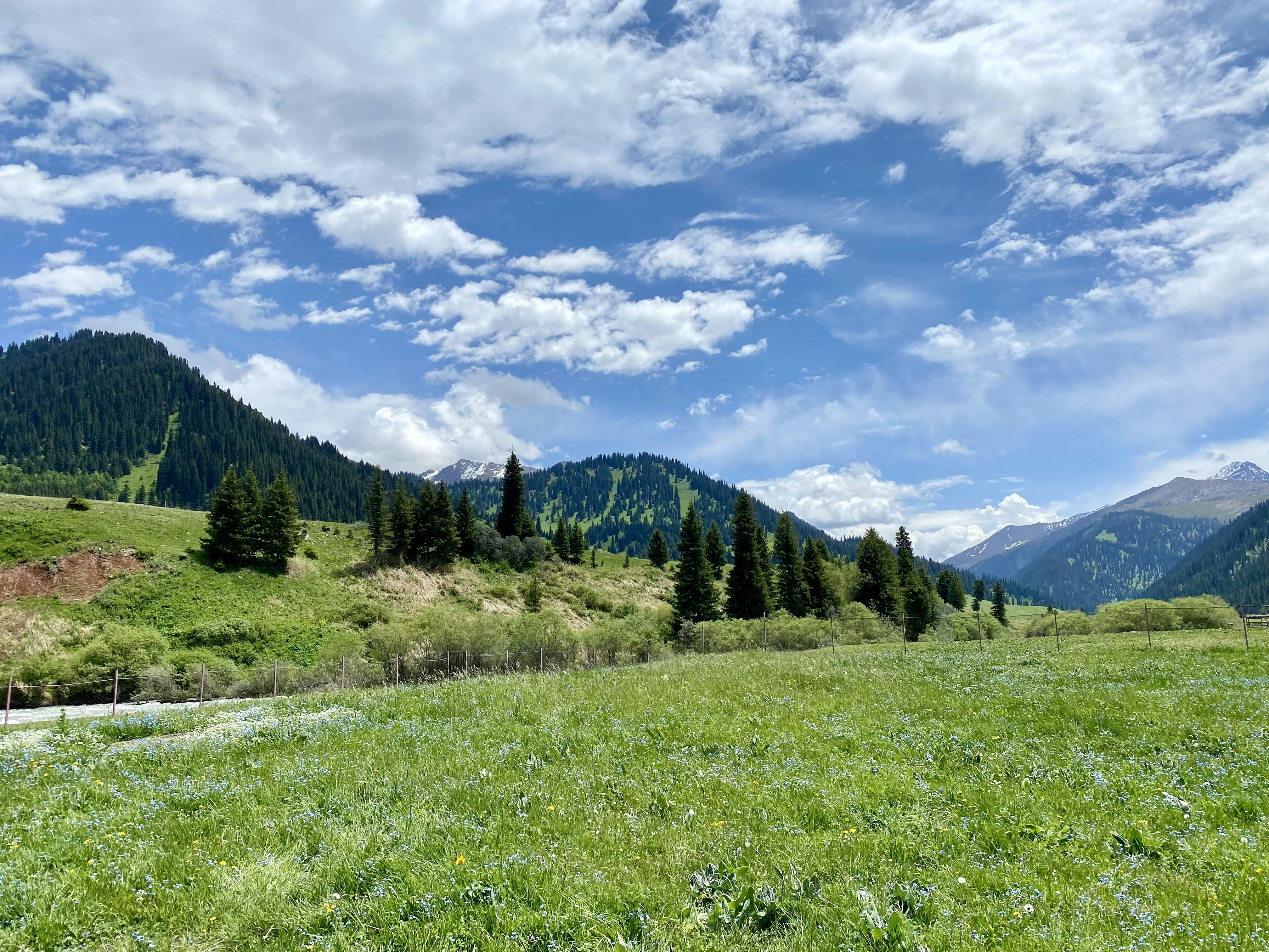 Photo by winterrose0903