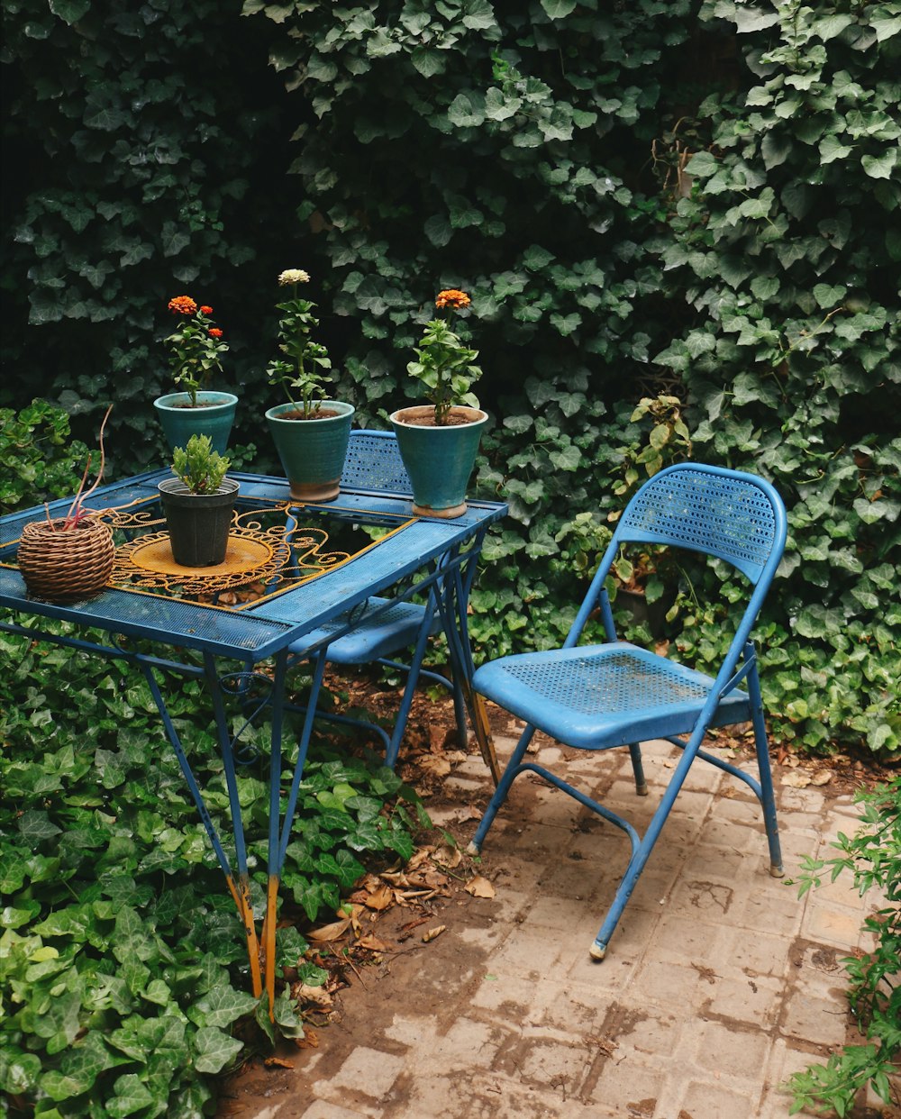 blue metal folding chair beside green plant