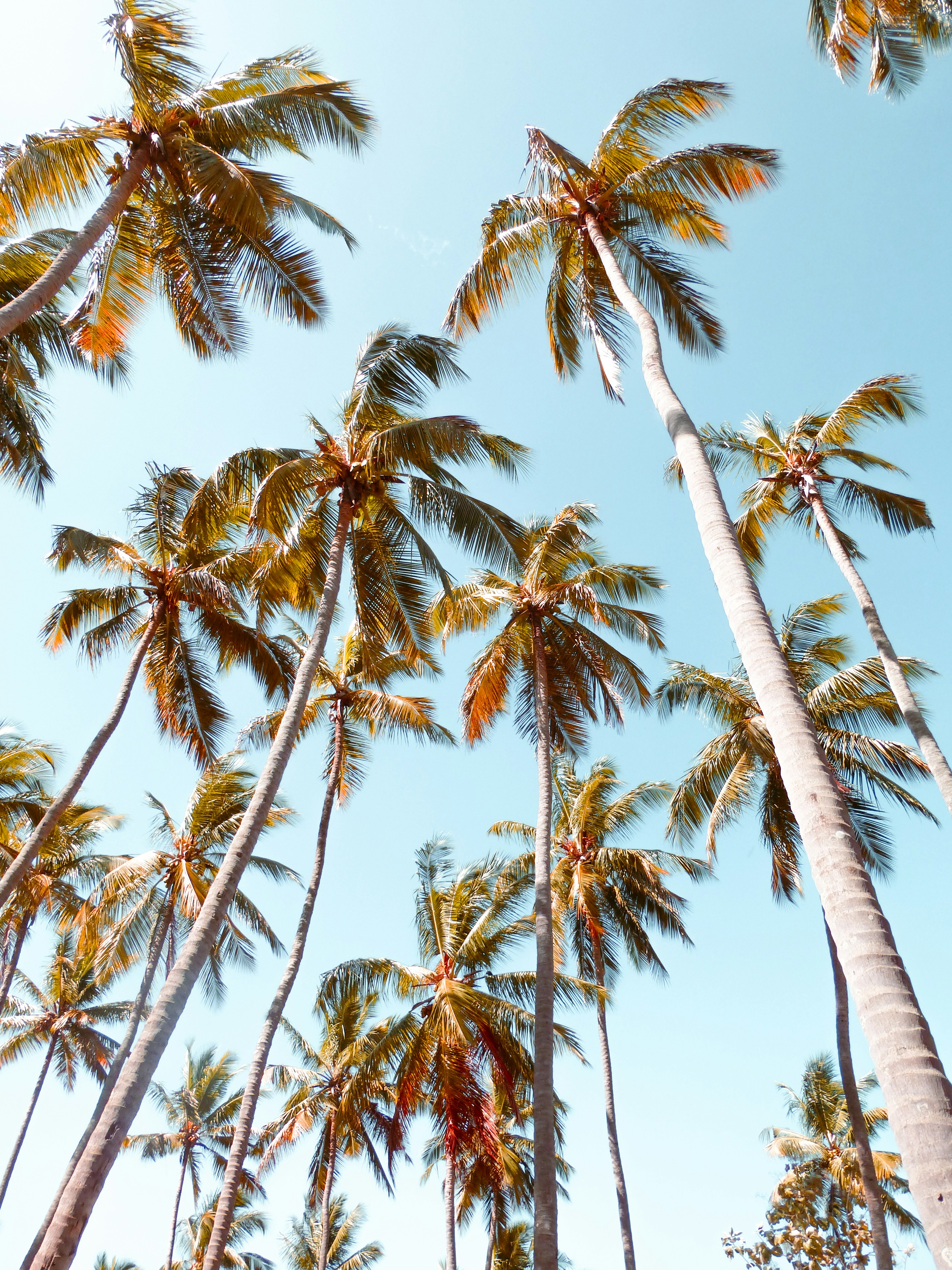 Photo by prithiviraj