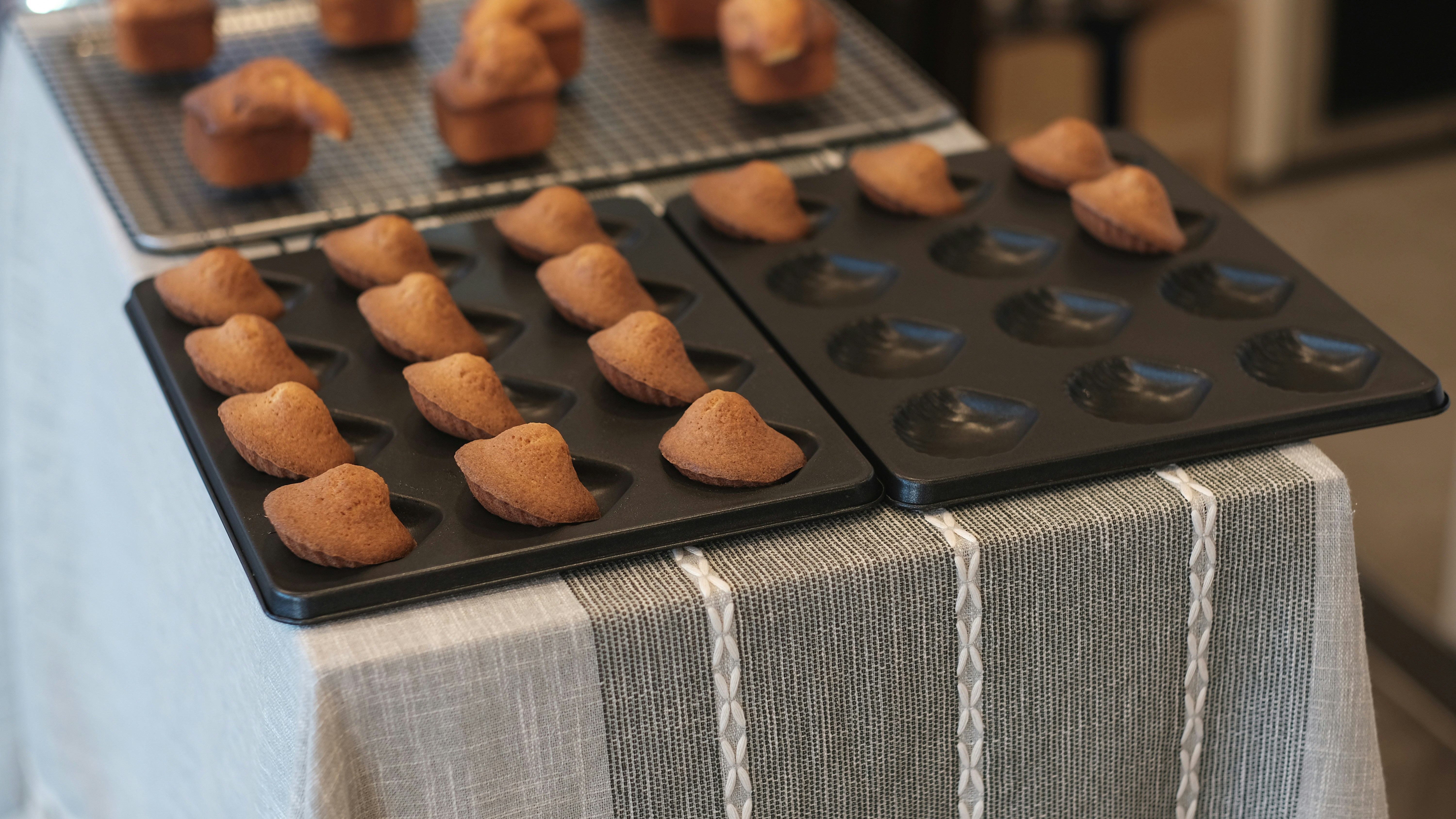 Rise and Divide: The Great American Debate Over What a Muffin Should Actually Look Like