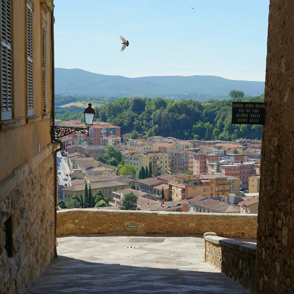 oiseau volant au-dessus de la ville pendant la journée