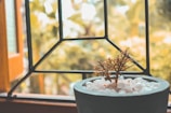 A small humidifier sitting on a windowsill with natural light highlighting its modern design.