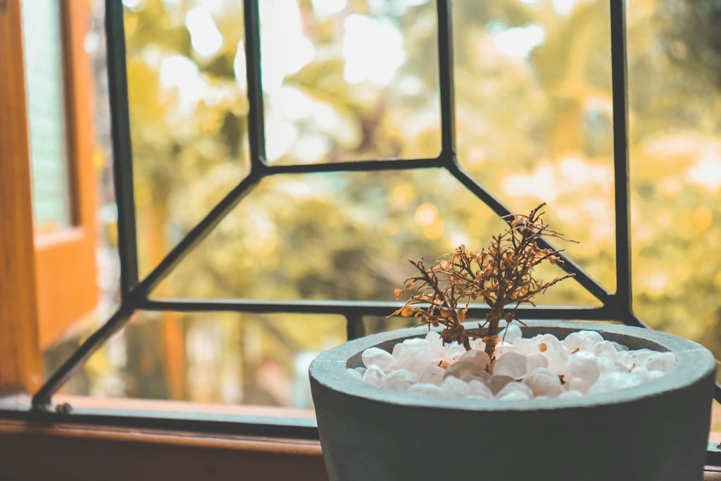 Green Plant Hanger