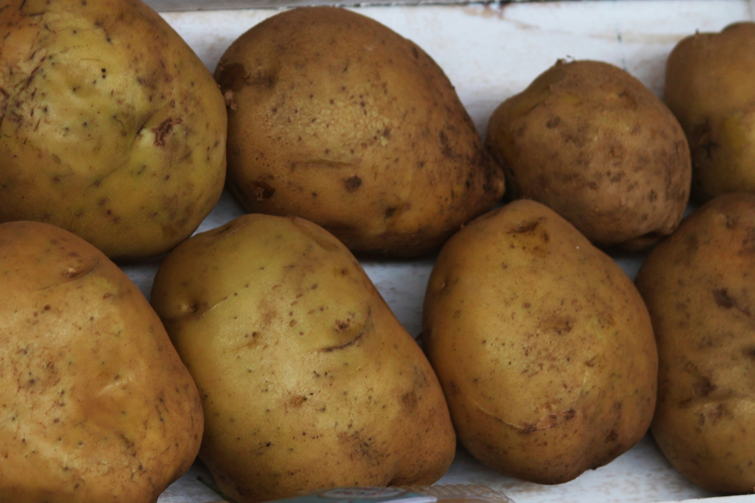 Fresh earthy potatoes in a clean bright setting on white background