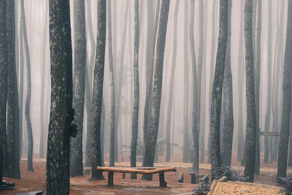 brown wooden table near white floral curtain