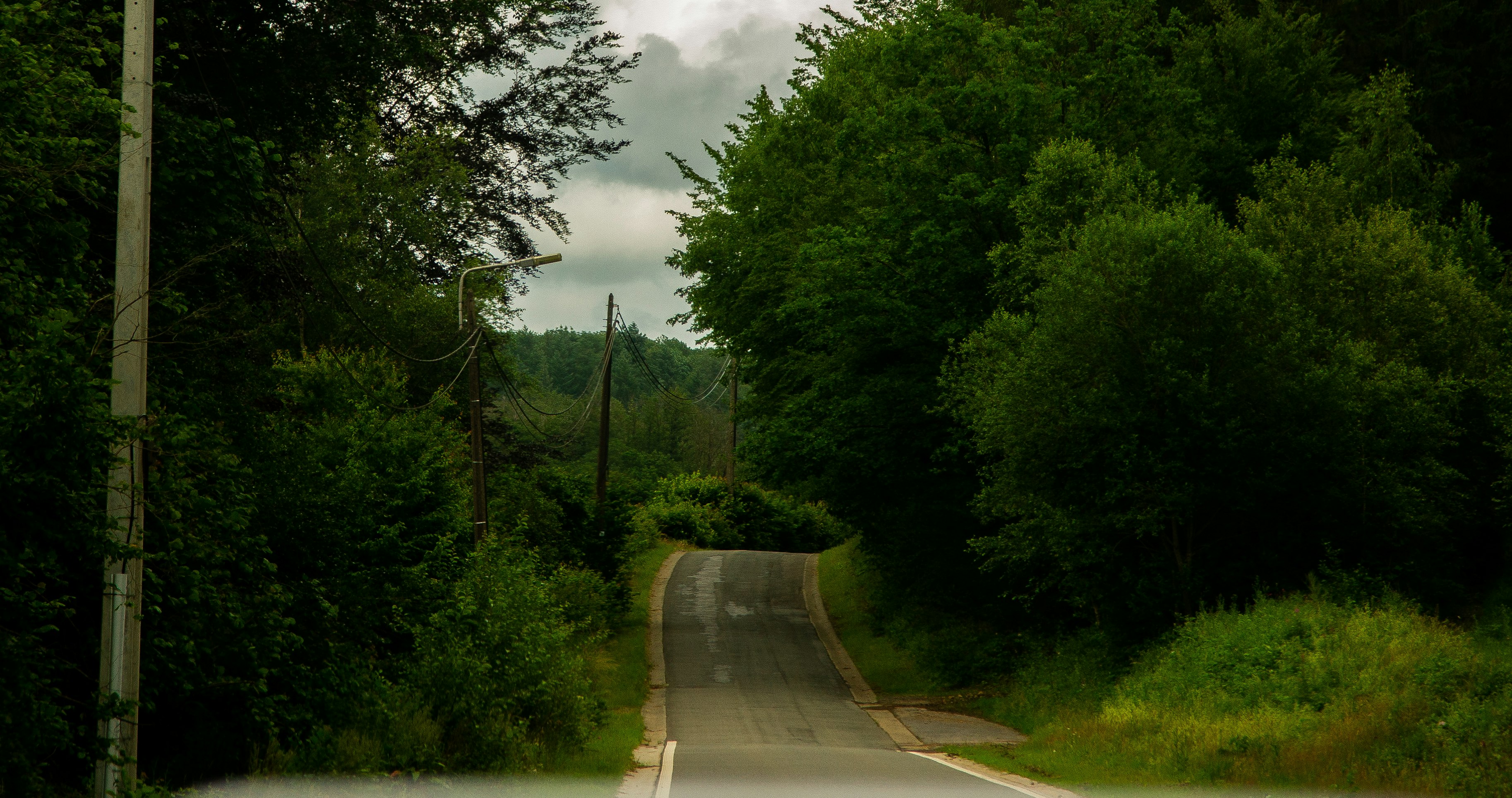 gray concrete road between green trees under white clouds during daytime