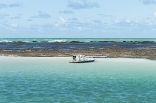 white boat on sea during daytime