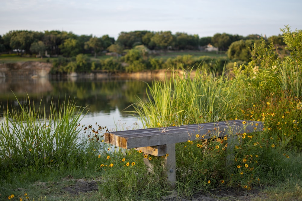 brown wooden bench on green grass field near lake during daytime