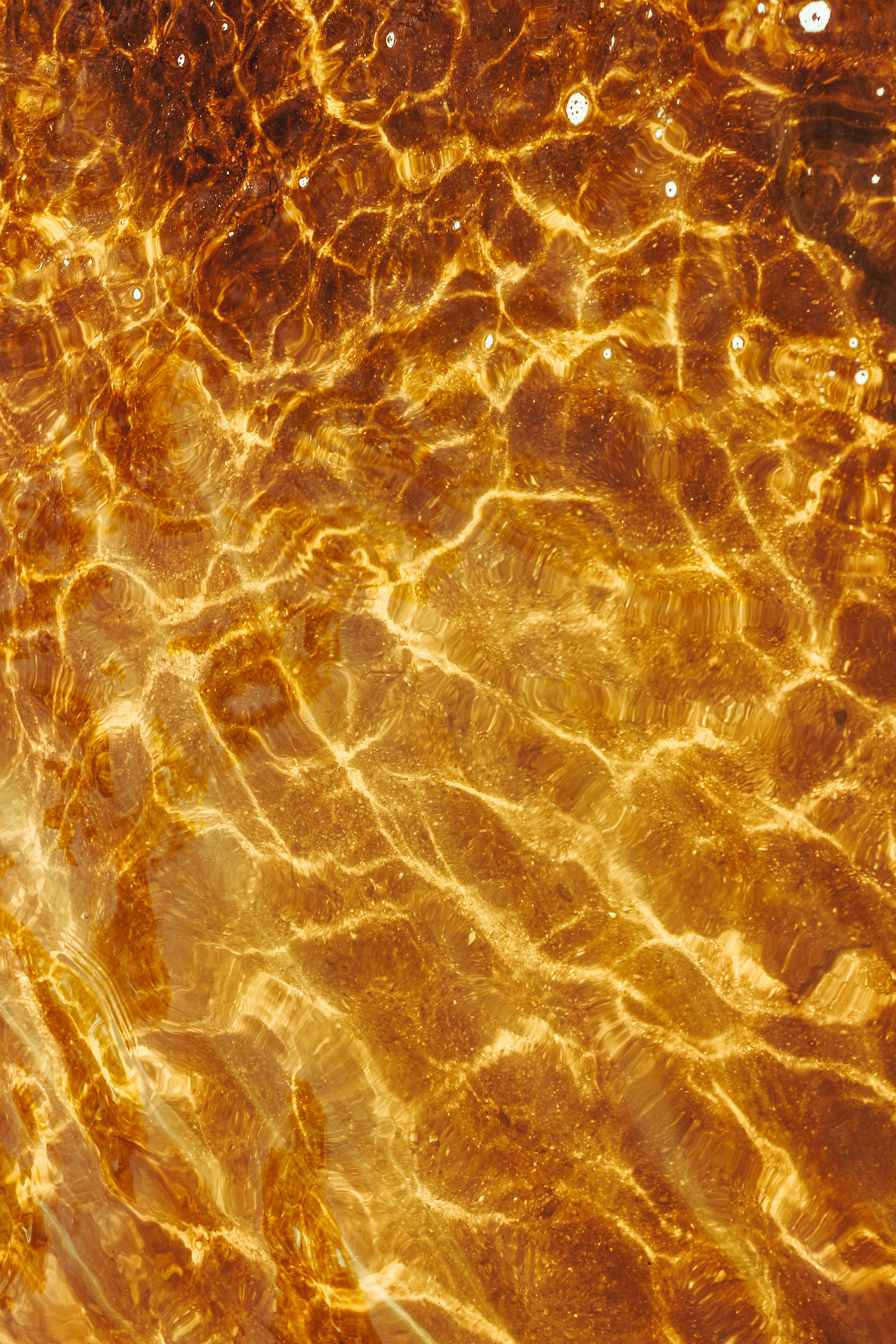 Picture 16 : 2 Amazing Days in Porto - Porto and Gaia Wine Tasting Adventure