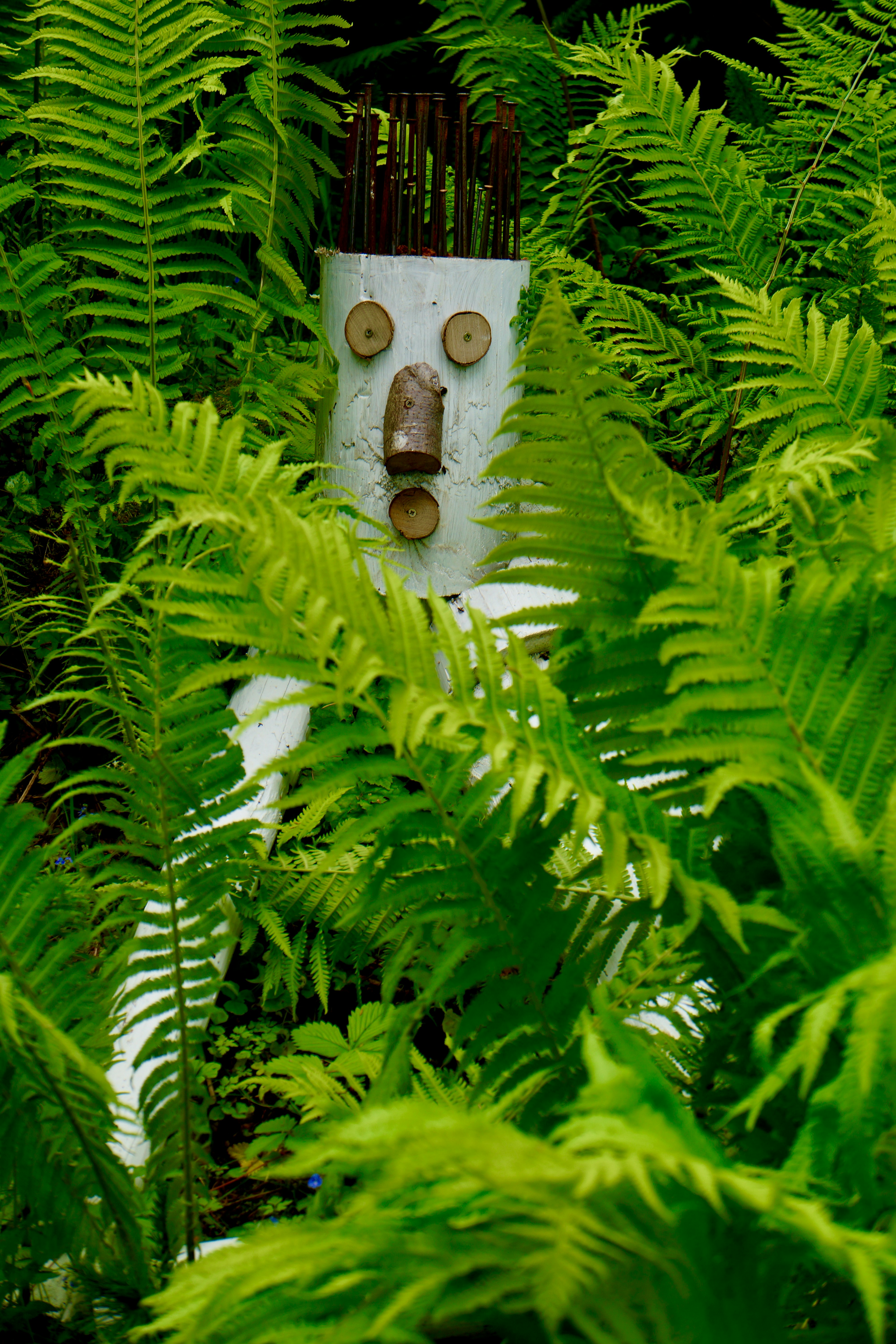white and brown wooden house ornament on green fern plant